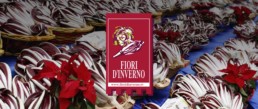 attivita fiori d inverno