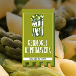 attivita germogli di primavera
