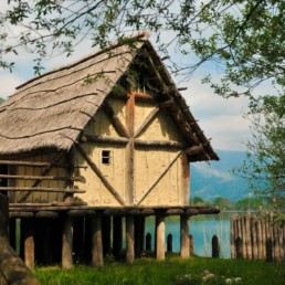 attivita parco livelet