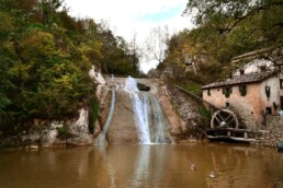 cultura molinetto della croda refrontolo