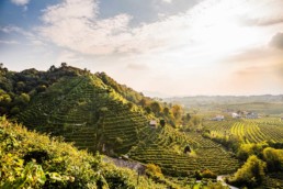 valdobbiadene colline 2
