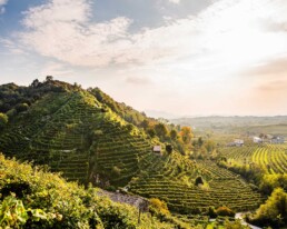 valdobbiadene colline 2